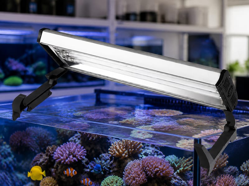 T5 HO Aquarium Lights Wholesale untuk Pembeli B2B: aquarium guide image 1