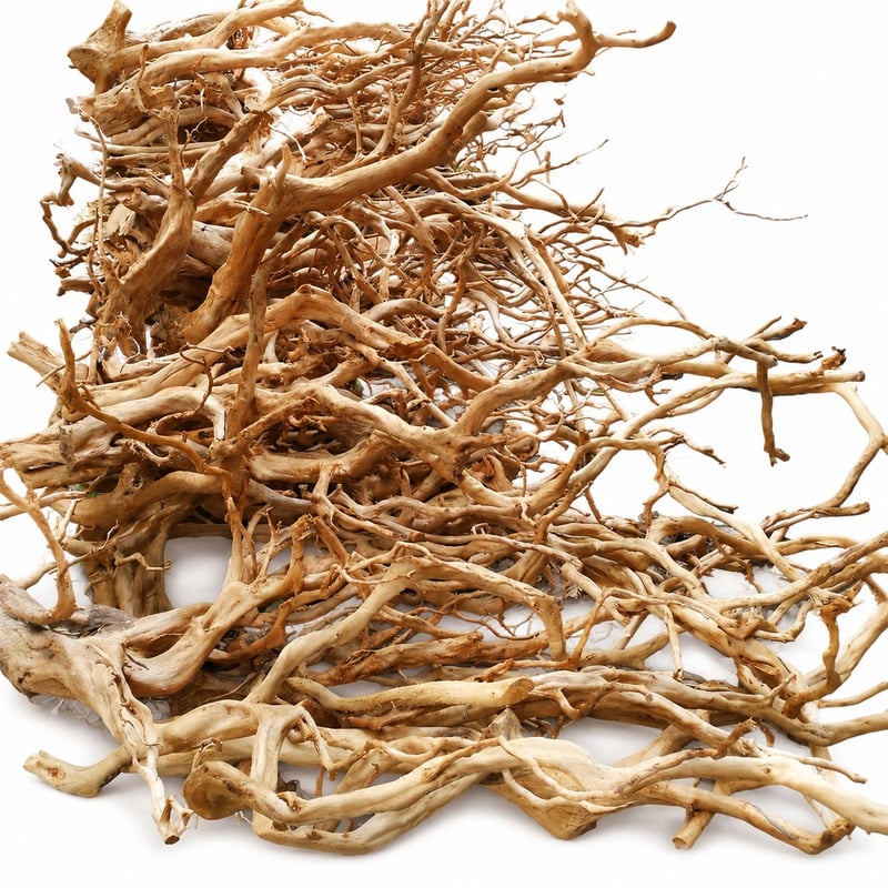 Gambar performa Kayu Apung Akar Azalea WK018 model WK018 untuk distributor dan tim pengadaan dekorasi Aquascaping akuarium