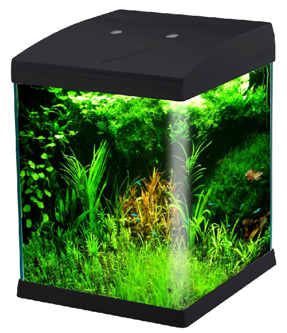 Gambar performa Tangki Akuarium Kaca Mini Tanpa Bingkai WK072 dengan Lampu LED model WK072 untuk distributor dan tim pengadaan tangki akuarium