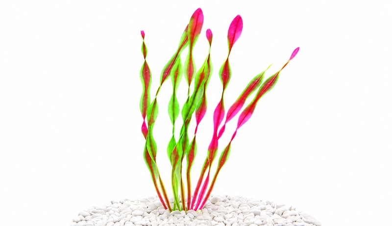 Gambar detail 5 model Tanaman Akuarium Artifisial WK105 untuk Akuarium Ikan WK105 untuk pembeli grosir dan OEM dekorasi Aquascaping akuarium