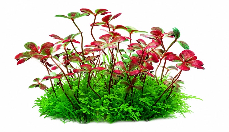 Gambar detail 6 model Tanaman Akuarium Artifisial WK105 untuk Akuarium Ikan WK105 untuk pembeli grosir dan OEM dekorasi Aquascaping akuarium