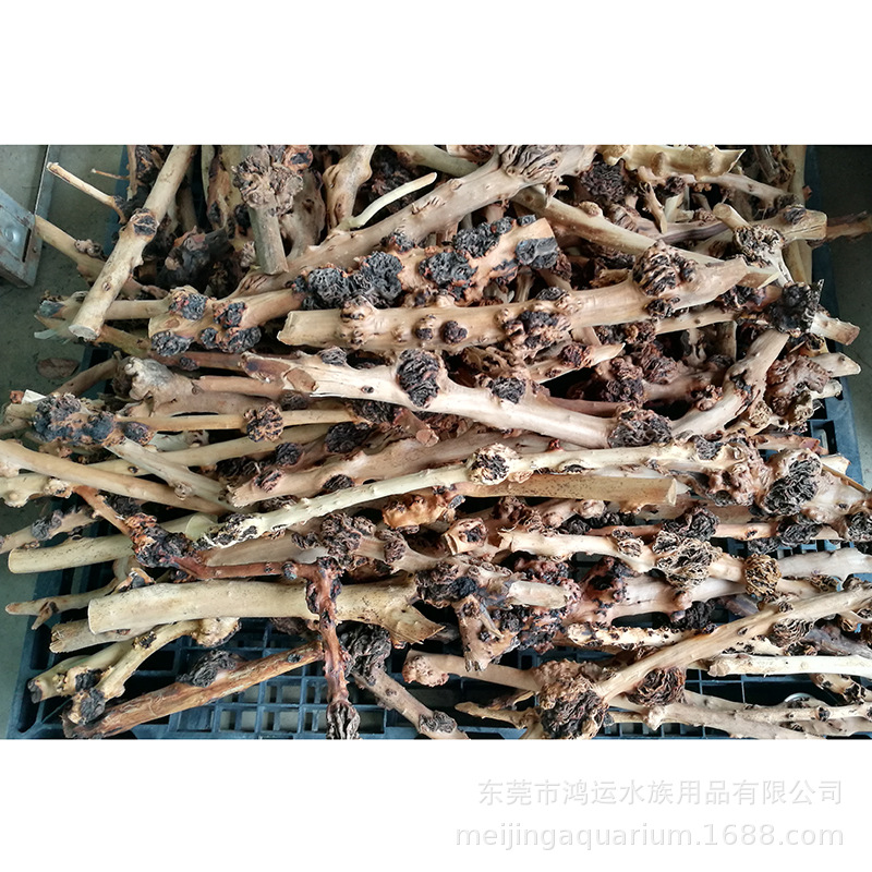 Gambar detail 12 WK110 Natural Root Wood Decor model WK110 untuk pembeli dekorasi aquascaping akuarium grosir dan OEM
