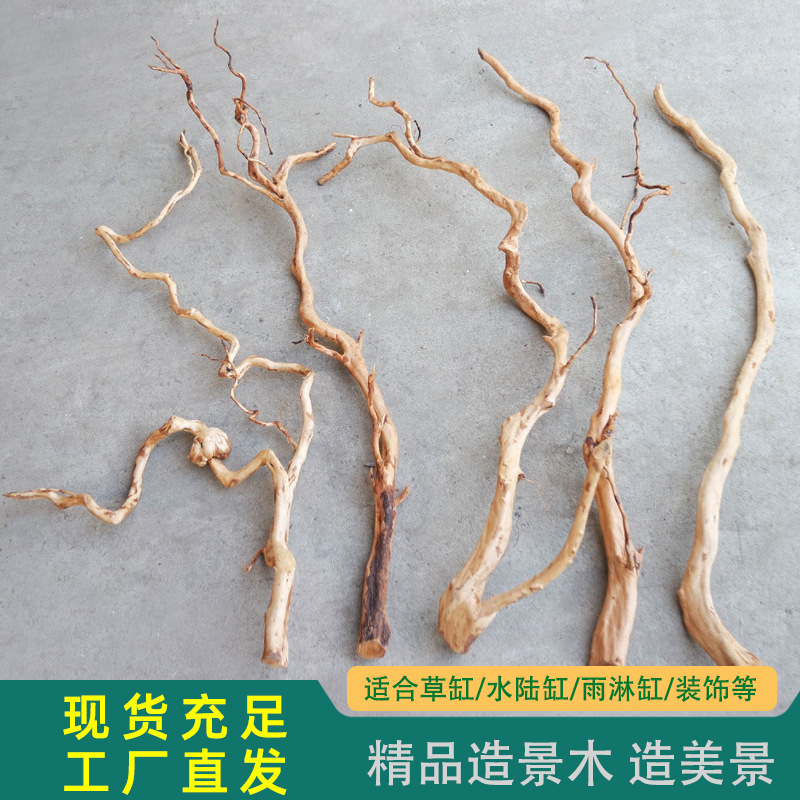 Kayu Apung Jati Ungu Akuarium WK114 model WK114 gambar detail 12 untuk pembeli grosir dekorasi Aquascaping akuarium dan OEM
